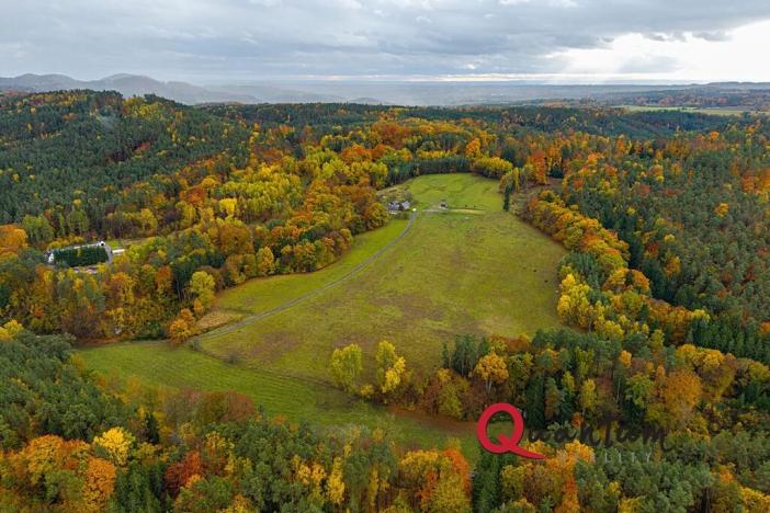 Prodej ubytování, Ždírec, 336 m2