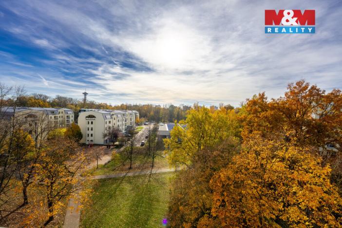 Prodej bytu 3+1, Pardubice - Polabiny, Lidická, 55 m2