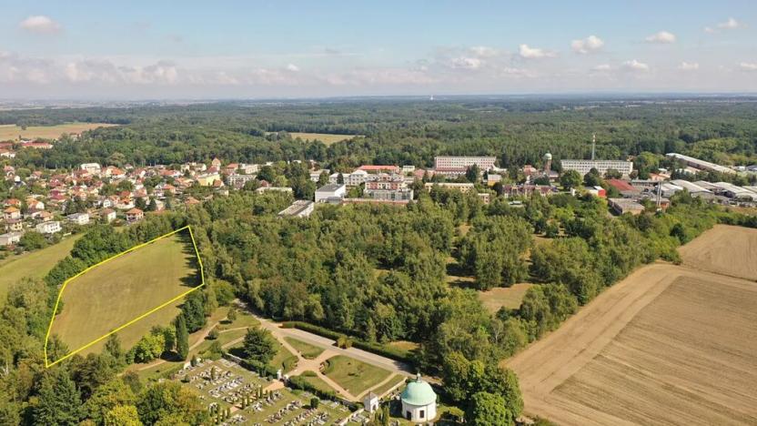 Prodej pozemku, Lázně Bohdaneč, Pod Břízami, 8173 m2