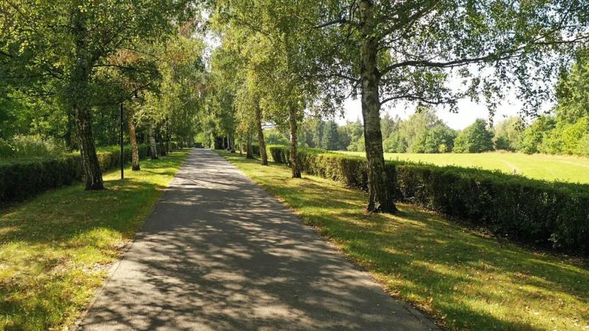 Prodej pozemku, Lázně Bohdaneč, Pod Břízami, 8173 m2