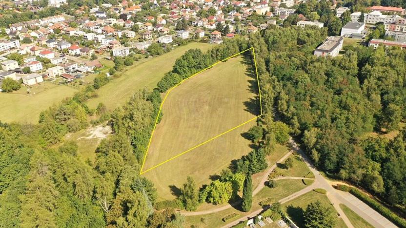 Prodej pozemku, Lázně Bohdaneč, Pod Břízami, 8173 m2