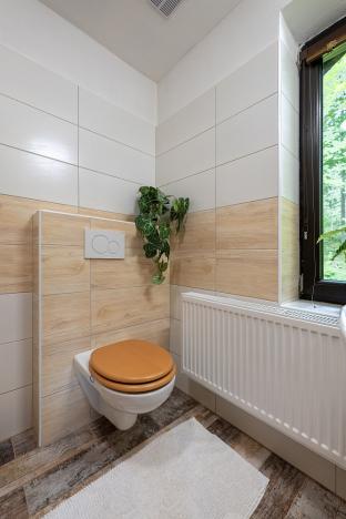 Prodej rodinného domu, Loučovice, 361 m2