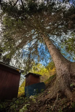 Prodej chaty, Heroltice, 40 m2