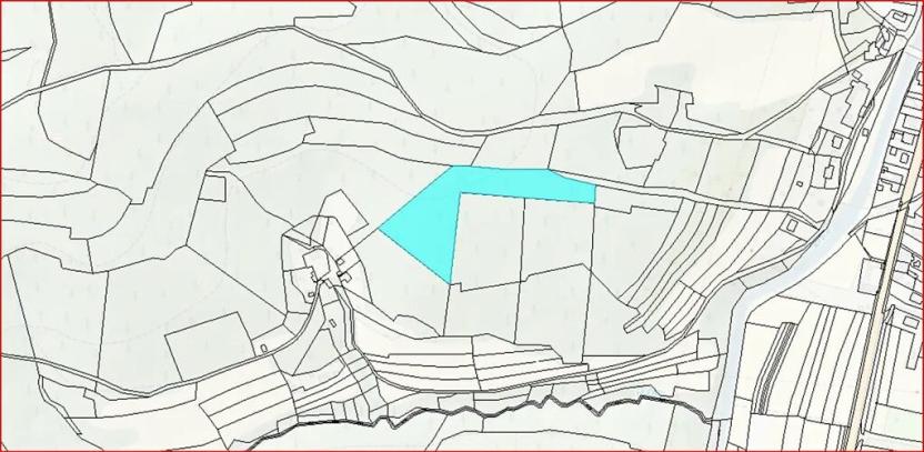 Dražba lesa, Ústí nad Labem, 11769 m2