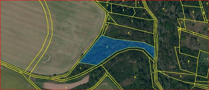 Dražba lesa, Slavičky, 6551 m2