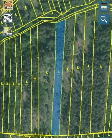 Dražba lesa, Blížejov, 3197 m2