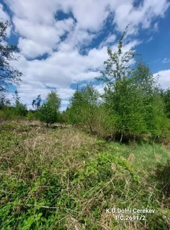 Prodej podílu lesa, Dolní Cerekev, 11817 m2