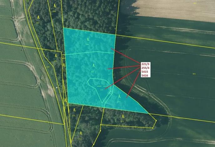 Dražba lesa, Peč, 7902 m2