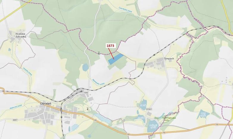 Dražba lesa, Obrataň, 32740 m2