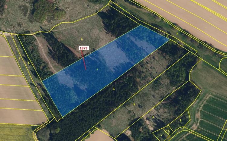 Dražba lesa, Obrataň, 32740 m2