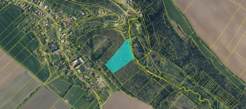 Dražba lesa, Kovanec, 12031 m2