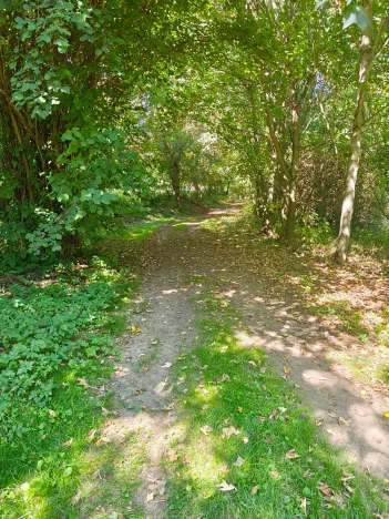 Prodej pozemku pro bydlení, Jedlá, 2598 m2