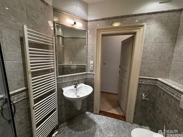 Pronájem bytu 1+kk, Praha - Vinohrady, 42 m2