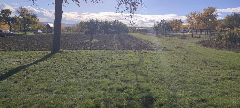 Prodej sadu/vinice, Blučina, 2677 m2