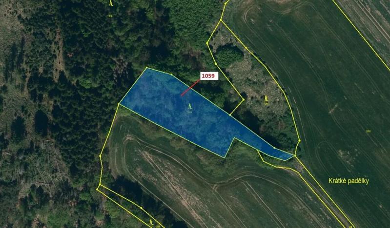 Dražba lesa, Náměšť nad Oslavou, 3646 m2