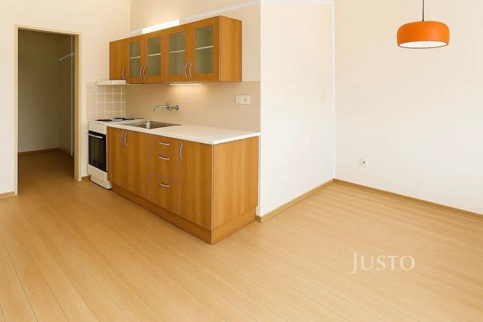 Prodej bytu 1+1, Ústí nad Labem, Maková, 45 m2