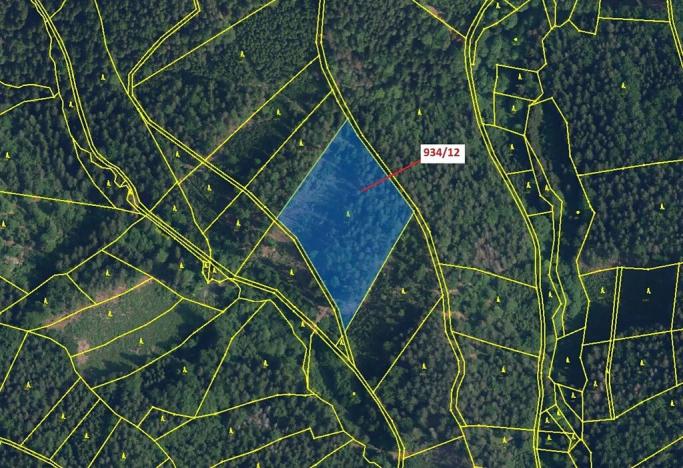 Dražba lesa, Jílové u Držkova, 10166 m2