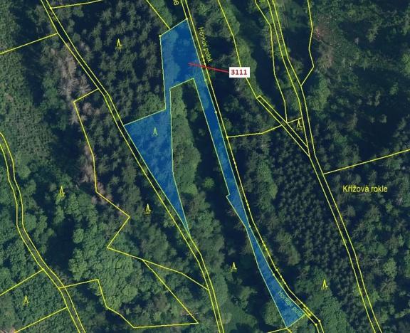 Dražba lesa, Benešov u Semil, 2958 m2