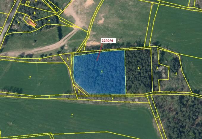 Dražba lesa, Cvikov, 8809 m2