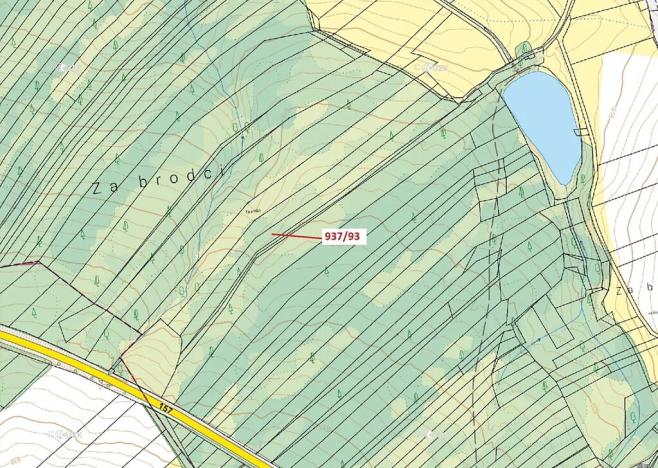 Dražba lesa, Netřebice, 8502 m2