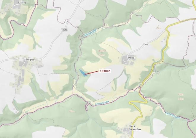 Dražba lesa, Čestín, 7932 m2