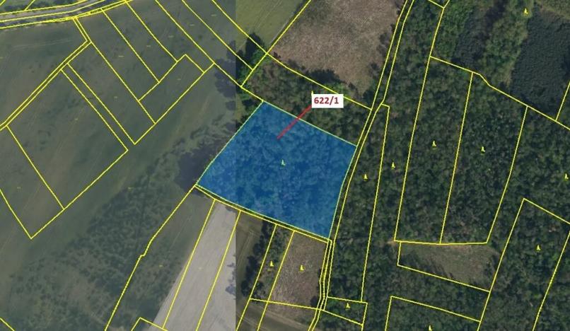 Dražba lesa, Bernardov, 12017 m2