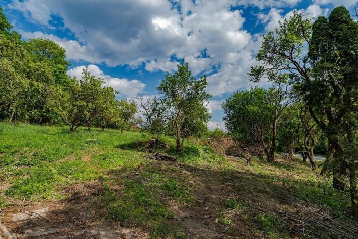 Prodej pozemku pro bydlení, Veliny, 3712 m2