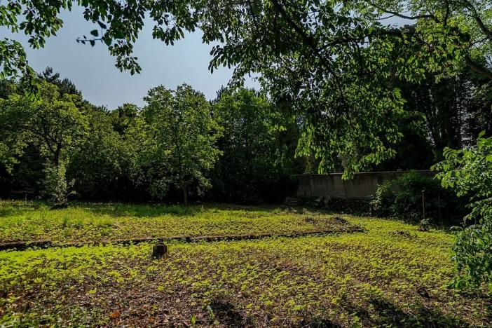 Prodej pozemku pro bydlení, Choceň, Tocháčkův kopec, 1926 m2