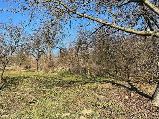 Prodej pozemku, Koryčany - Jestřabice, 1821 m2