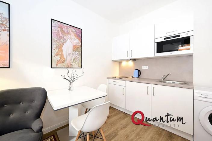 Pronájem bytu 1+kk, Praha - Nové Město, Půtova, 30 m2