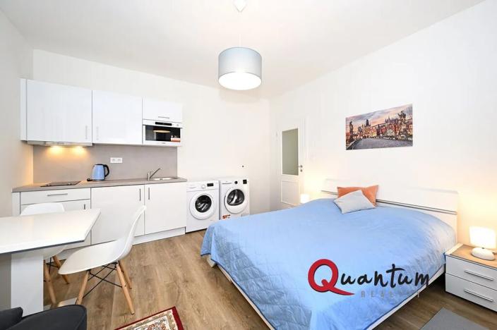 Pronájem bytu 1+kk, Praha - Nové Město, Půtova, 30 m2