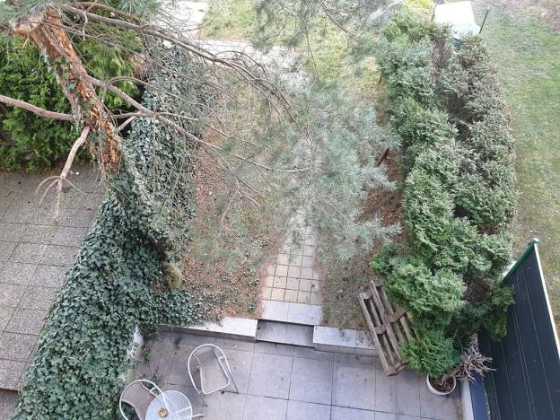 Pronájem kanceláře, Praha - Kyje, Vajgarská, 216 m2