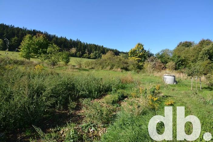 Prodej pozemku pro bydlení, Toužim, 8027 m2