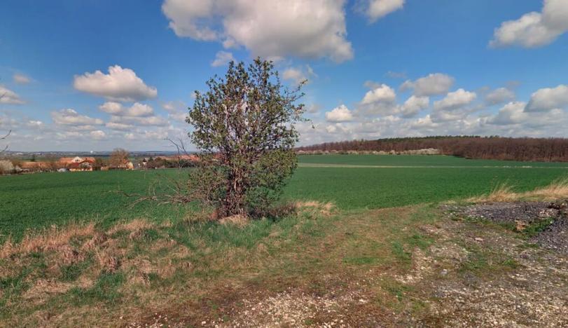 Prodej pole, Lišice, 205582 m2