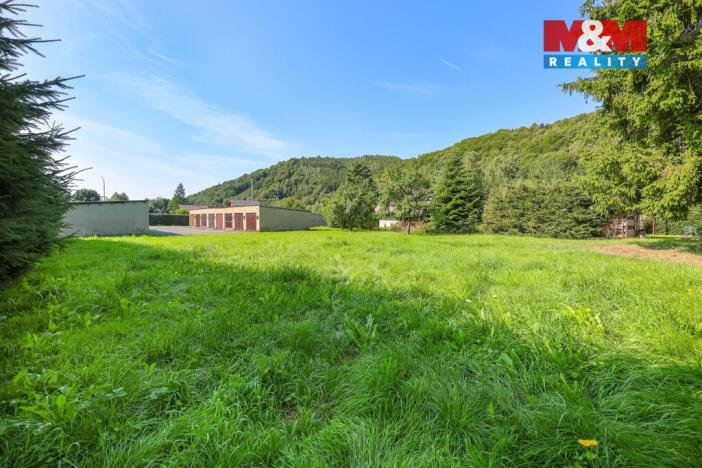 Prodej pozemku pro bydlení, Loučná nad Desnou - Kociánov, 8815 m2