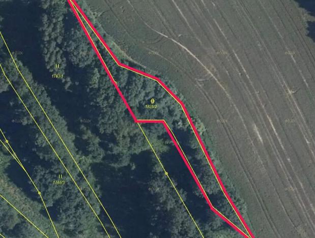 Prodej lesa, Dubnice, 1219 m2