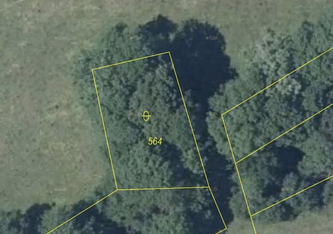 Prodej lesa, Kozly, 556 m2