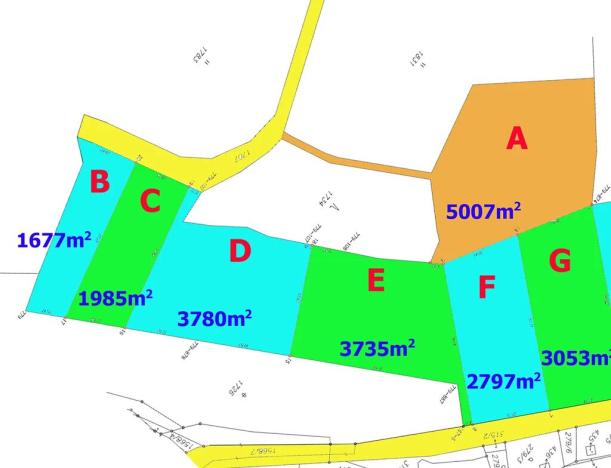 Prodej lesa, Liberec, 3735 m2