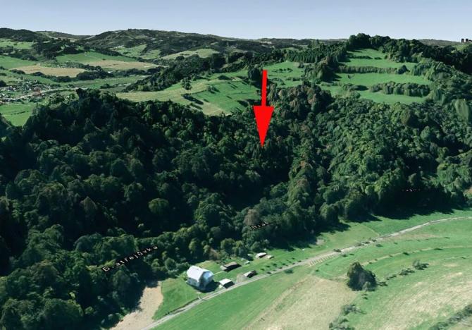 Prodej lesa, Huslenky, 13656 m2