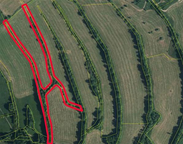 Prodej lesa, Žandov, 9354 m2