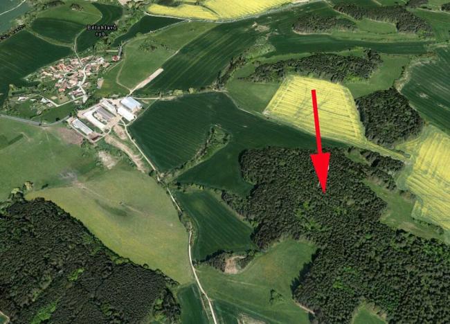 Prodej lesa, Úlehle, 21886 m2