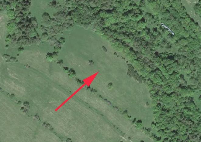 Prodej louky, Trutnov, 35805 m2