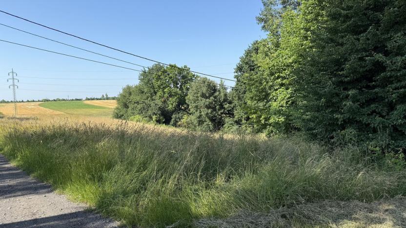 Pronájem louky, Ostrava - Polanka nad Odrou, K Lípě, 9850 m2