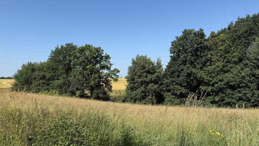 Pronájem louky, Ostrava - Polanka nad Odrou, K Lípě, 9850 m2