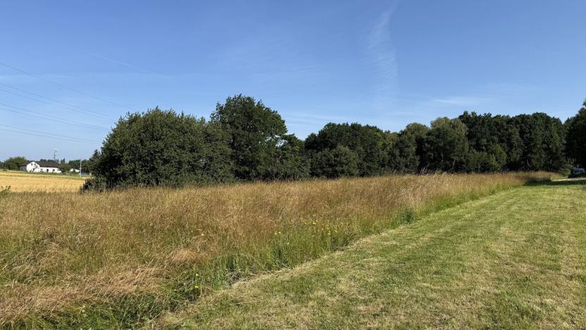 Pronájem louky, Ostrava - Polanka nad Odrou, K Lípě, 9850 m2