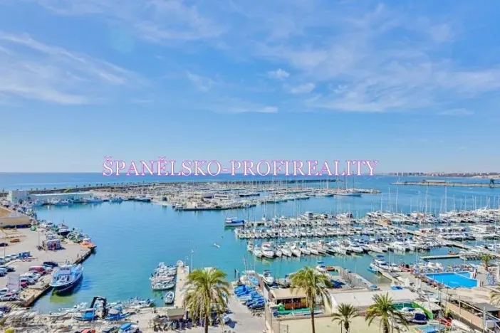 Prodej bytu 1+kk, Torrevieja, Španělsko, Calle Los gases, 40 m2