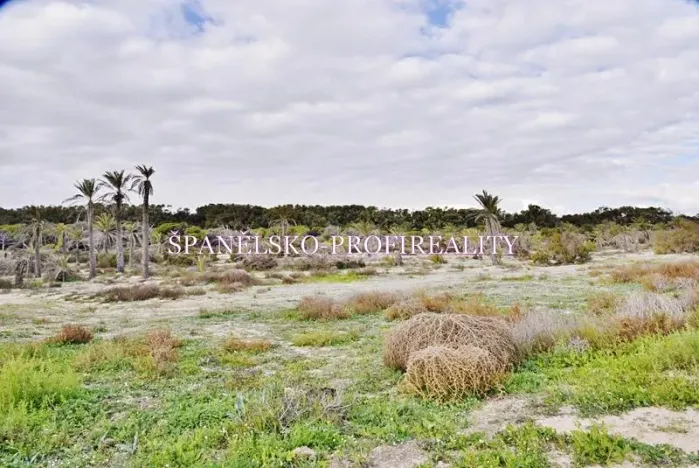 Prodej bytu 3+kk, Guardamar del Segura, Španělsko, 45 m2