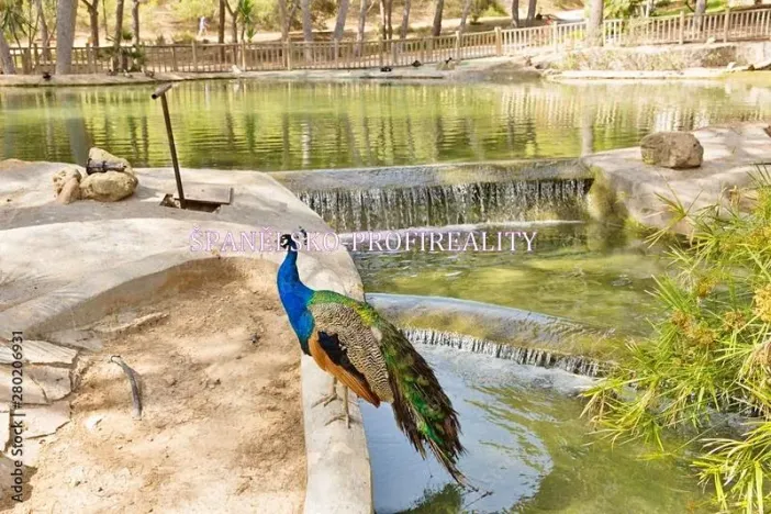 Prodej bytu 2+kk, Guardamar del Segura, Španělsko, 50 m2