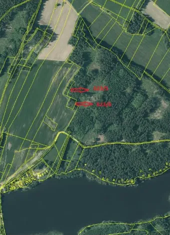 Prodej lesa, Nová Bystřice, 2850 m2