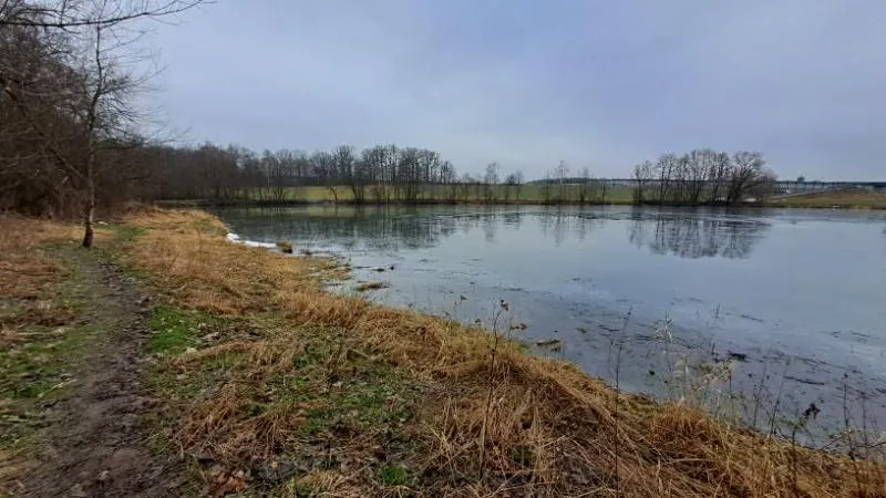 Prodej rybníku, Ostrava, 13195 m2